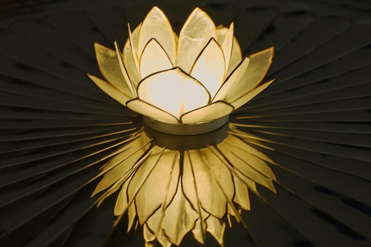 White Lotus Apartment Bécs Kültér fotó